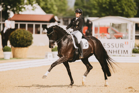 Isabell Werth und Wendy da la Fontaine feiern in Mannheim einen überlegenen Sieg. | © Foto: Möhler (frei)