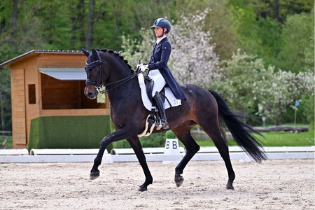 Viva Waldi unter dem Sattel von Christine Eglinski sicherte sich seinen ersten Dreisterne-S-Sieg. | © Dill