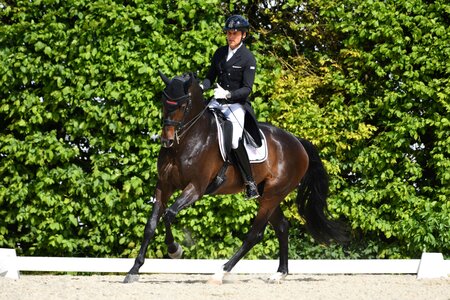 Rudi Widmann galoppiert zum Doppelsieg | © Altenhofer