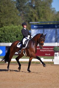 In Remlingen finden die fränkischen Dressur-Meisterschaften statt. | © Privat