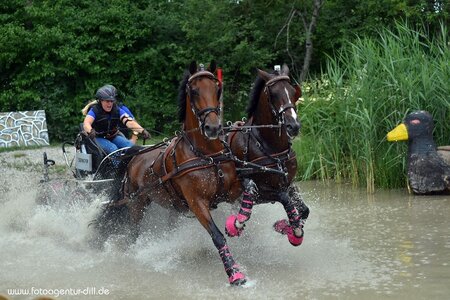 Anna Sandmann unterwegs im Gelände | © Dill (Archiv)