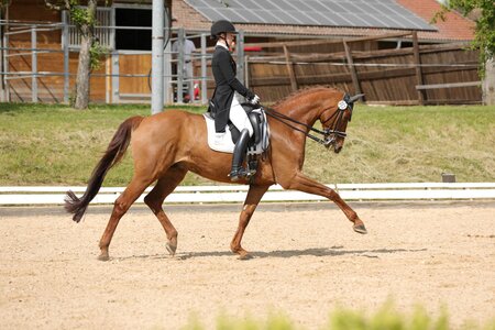 Siegerin der S-Dressur: Sandy Kühnle mit Bellini | © Fotoagentur Dill