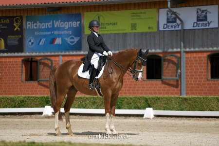Raphaela Meixner konnte den Rheinländer Blue Motion zum Sieg tanzen lassen. | © Fotoagentur Dill