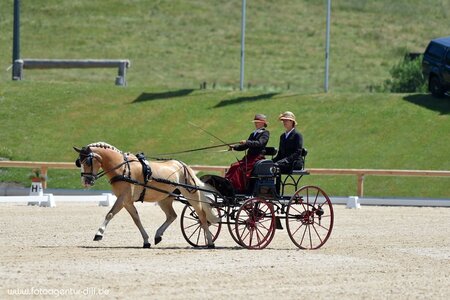 Silke Zenkel mit Pony Natürlich Blond 2 | © Dill (Archiv)