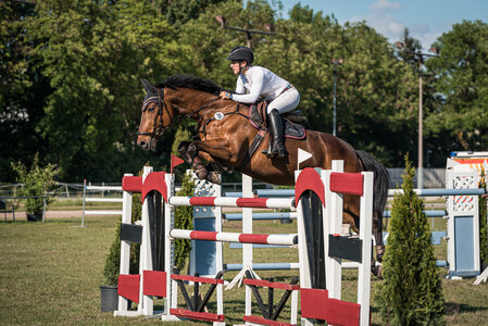Doppelsiegerin im S-Springen: Nicoletta Müßig mit Sir Flintstone | © Julia Hayd