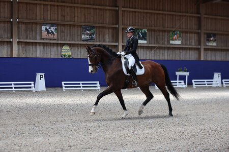 FBW Johny Johnson und Ramona Ritzel sind wieder auf gemeinsamem Erfolsgkurs. Hier im St. Georg Special in Zeutern. | © Doma