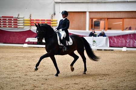 Annie Rocks und Sabine Sengl blicken auf ein erfolgreiches Wochenende zurück: Zwei Siege in der schweren Klasse, so die Erfolgsbilanz. | © Fotoagentur Dill