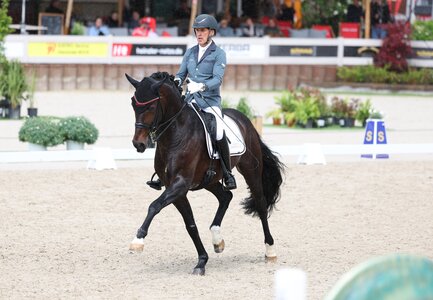 Erste S-Dressur für First Rock Star und zugleich ein Sieg für Rudi Widmann's Nachwuchshoffnung. | © Roger Müller