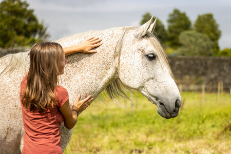 Pferdewissenschaften als Wahlmodul bietet nun die TU München an. | © AdobeStock/Ayla Harbich