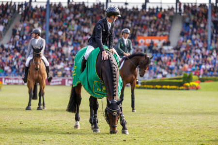 Zufriedener Stargold: Der Sieger des Rolex Grand Prix grast in Aachen entspannt während der Siegerehrung. | © Lafrentz