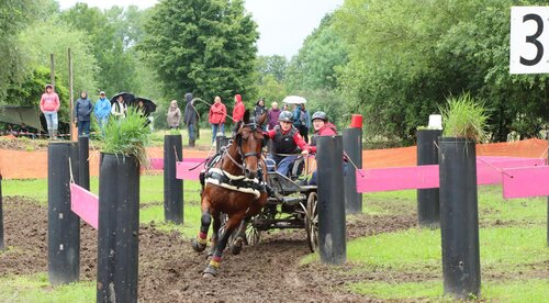 Jessica Wächter und Charly Brown liegen nach Dressur und Marathon auf Rang drei. | © Herbert Rauser