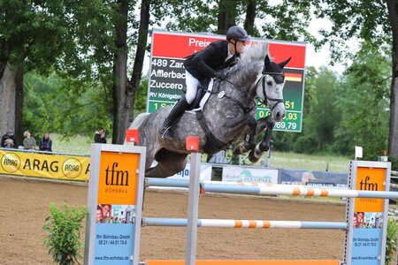 Patrick Afflerbach und Zara schnappten sich den Sieg im Königsbrunner Punkte-S-Springen. | © Dill