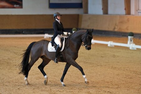 Anabel Huther und ihr Wallach Fidergold | © Dill (Archiv)