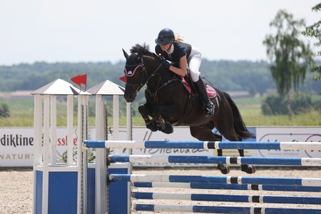 Lucy Höß und Non Stop werden Zweite im L-Springen. | © D. Matthaes 