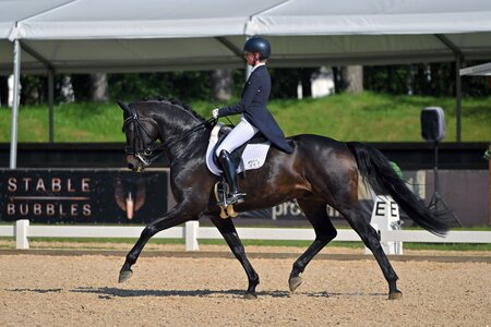 Auf dem Weg zum S***-Sieg: Christine Eglinski und Viva Waldi | © Dill