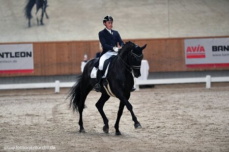 Fabiano A und Marcel Wolf, hier beim Dressurfestival in Illertissen, konnten sich über einen weiteren S-Sieg freuen. | © Fotoagentur Dill