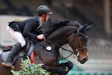 Michael Brunner fliegt mit Stute Radihaza Jacinta zum Sieg | © Dill (Archiv)
