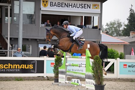 Max Weishaupt und Codex springen zum S**-Sieg. | © Dill