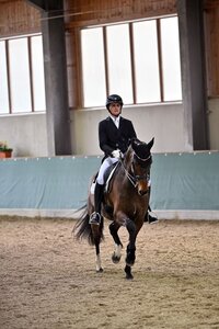 Max Wadenspanner feierte in Brno zwei internationale Dreisterne-Siege. | © Dill