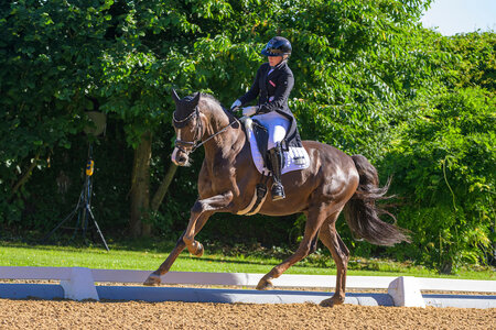 Isabella John darf zur Nachwuchs-Europameisterschaft reisen. | © Equitaris