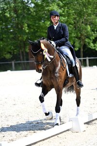 Uwe Schwanz sicherte sich in der ersten Dreisterne-Prüfung von Brunnthal einen starken Doppelsieg. | © Dill
