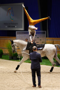 Mit einem zweiten Platz in der Kür konnte Julian Wilfling ordentlich aufholen. | © Julian Spilker