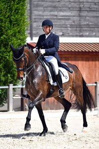 Uwe Schwanz und Zarentochter führen die Einlaufprüfung Stars von Morgen in Brunnthal an. | © Dill