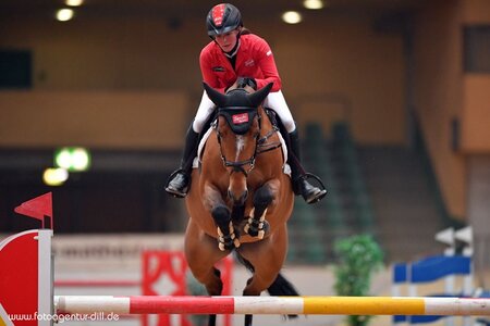 Traum geplatzt: Jörne Sprehe und Hot Easy starten nicht in Aachen. | © Dill
