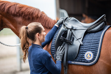 Die Bundesvereinigung der Berufsreiter lädt mit dem Bayerischen Reit- und Fahrverband e.V. zu einer Informationsveranstaltung zum Beruf des Pferdewirtes ein. | © Cora Jennissen
