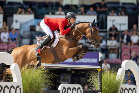 Max Kühner und Elektric Blue bei der WM in Herning. | © Lafrentz