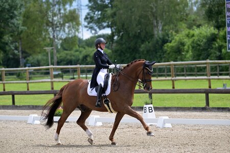 Siegreich: Seline Amschler und King George | © Dill