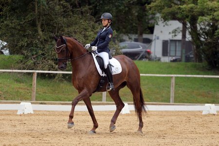 Julia Schnickmann siegte bei den Bayerischen Meisterschaften sowohl in der ersten Wertungsprüfung der Ponyreiter als auch der Children. | © Dill