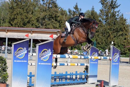 Sophie Löhr und ihr Quinn | © Dill (Archiv)