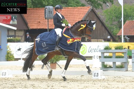 Als Dressurferdechampion der Fünfjährigen ging Luxusliebe, vorgestellt von Wibke Hartmann-Stommel auf die Ehrenrunde. | © Bischoff