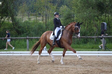 Tolle Vorstellung: Romina Nieberle und Free Willy | © Dill