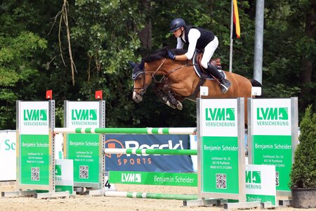 Hans-Günther Blum und Chalady siegten im S*-Springen auf Trense. | © Dill