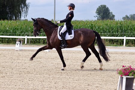 Trabten zum S*-Sieg: Emily Rother und Jasper | © Dill