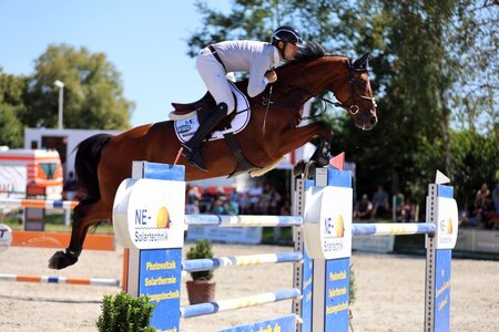 Tolles Paar: Maximilian Ertz und Vendetta | © Dill