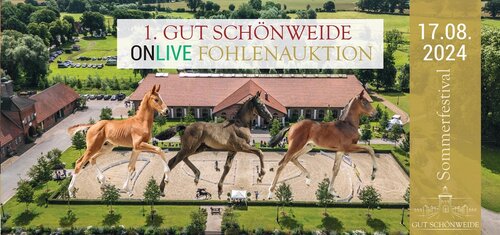 Zum ersten Mal veranstaltet das Gestüt Gut Schönweide eine Fohlenauktion. | © Reckimedia
