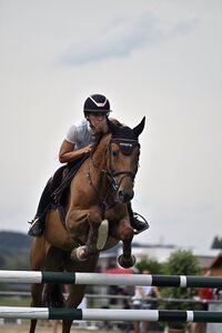Zum Sieg gesprungen: Nicoletta Müßig und Heiderose | © Dill