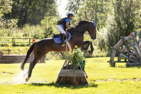 © Annika Aichner Fotografie Presse