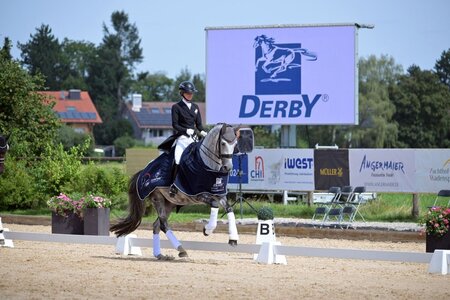 Lisa Müller setzte sich mit Gut Wettlkam's Raffinesse in der Einlaufprüfung Stars von Morgen an die Spitze. | © Dill