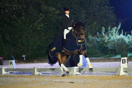 Jessica Neuhauser und Rockson führten sowohl im Grand Prix Special als auch in der Grand Prix Kür die Ehrenrunde an. | © Dill