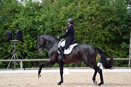 Siegreich: Jula Ohms und Zaphir | © Dill