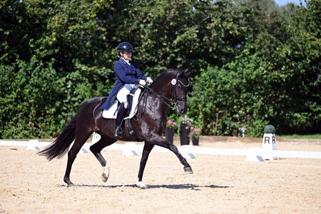 Katrin Burger und Darleen de Funes siegten bei der dritten Qualifikation des IWEST Dressur Cups. | © Dill