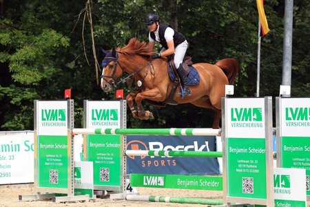 Ein Pferd, das immer 150 Prozent gibt: Cayenne unter Soenke Kohrock | © Dill (Archiv)