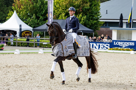 Red Viper siegte in der Qualifikation der fünfjährigen Dressurpferde in Ermelo.  | © Lafrentz 