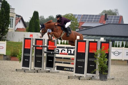 Sie wollten keinen Fehler machen - Karen Boos Pegler und Aglae D'Ouilly  | © Dill