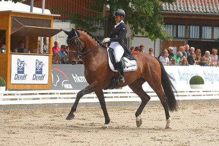 Erneut im Finale. Visser's Hit Valeria OLD | © Bischoff