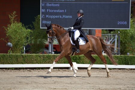 Raphaele Meixner trabt zum Sieg | © Dill